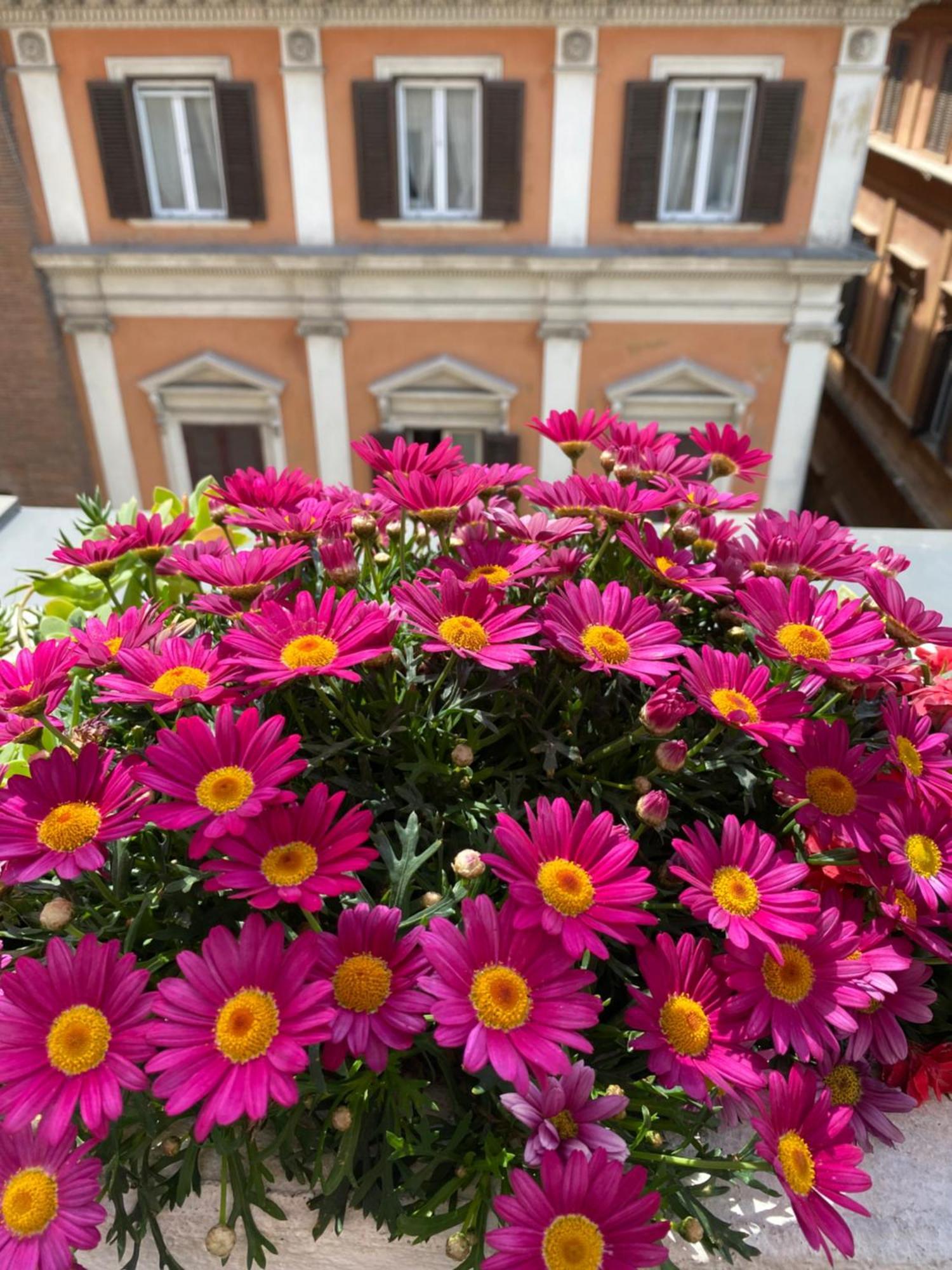 Terrazza Marco Antonio Luxury Suite Ρώμη Εξωτερικό φωτογραφία